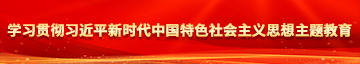 免费操逼网站学习贯彻习近平新时代中国特色社会主义思想主题教育